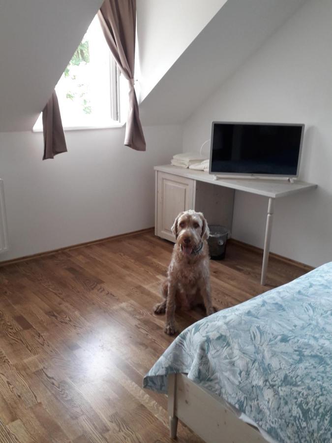 Rosenberg Kuria Bed & Breakfast Taplanszentkereszt Dış mekan fotoğraf